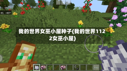 我的世界女巫小屋种子(我的世界1122女巫小屋)-第3张图片