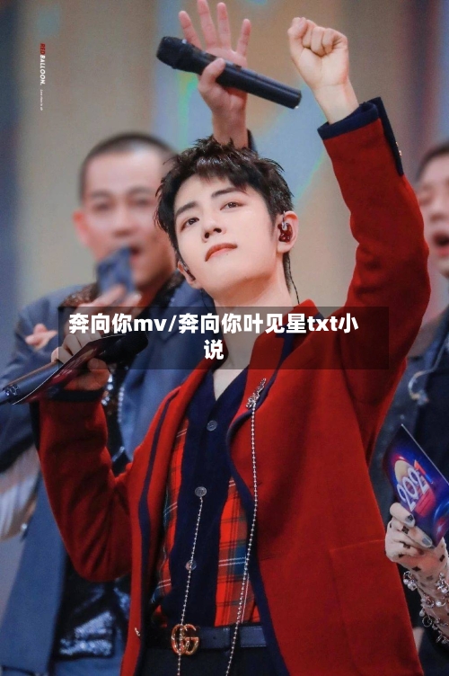 奔向你mv/奔向你叶见星txt小说-第1张图片