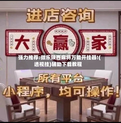 强力推荐:微乐陕西麻将万能开挂器!(透视挂)辅助下载教程-第2张图片