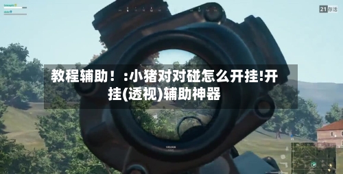 教程辅助!:小猪对对碰怎么开挂!开挂(透视)辅助神器-第2张图片