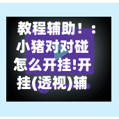 教程辅助!:小猪对对碰怎么开挂!开挂(透视)辅助神器-第1张图片