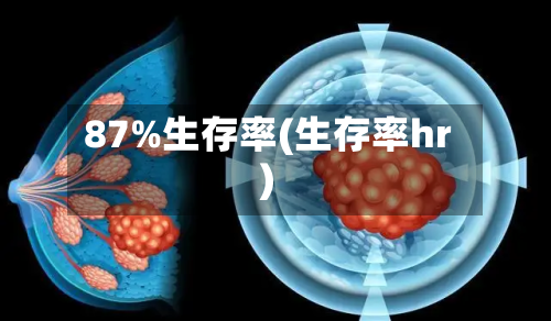 87%生存率(生存率hr)-第3张图片