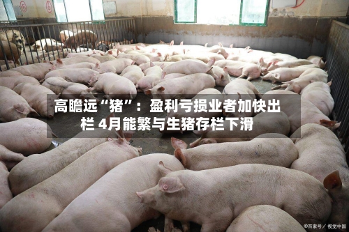 高瞻远“猪”：盈利亏损业者加快出栏 4月能繁与生猪存栏下滑-第2张图片