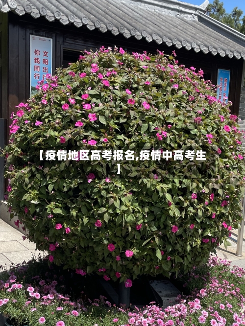 【疫情地区高考报名,疫情中高考生】-第1张图片
