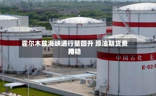 霍尔木兹海峡通行量回升 原油期货费用
持稳-第1张图片