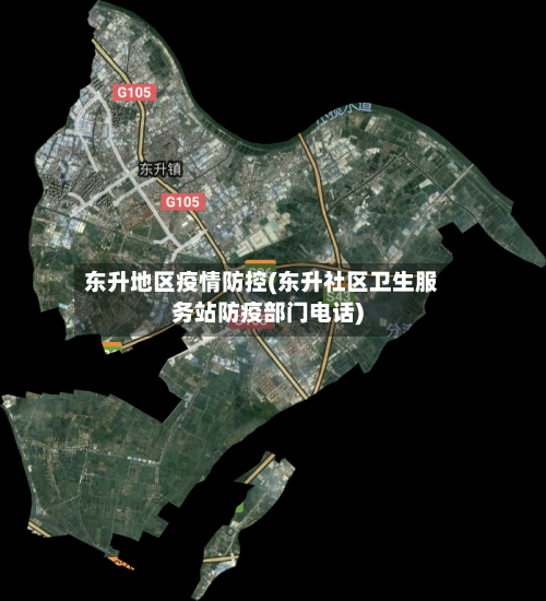东升地区疫情防控(东升社区卫生服务站防疫部门电话)-第1张图片