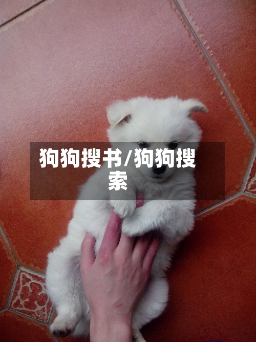 狗狗搜书/狗狗搜索-第1张图片