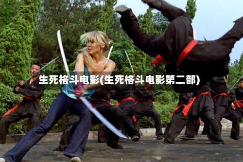 生死格斗电影(生死格斗电影第二部)-第2张图片