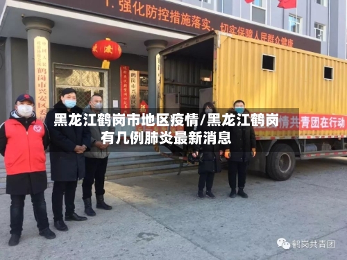 黑龙江鹤岗市地区疫情/黑龙江鹤岗有几例肺炎最新消息-第1张图片