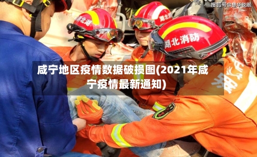 咸宁地区疫情数据破损图(2021年咸宁疫情最新通知)-第3张图片