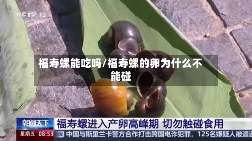 福寿螺能吃吗/福寿螺的卵为什么不能碰-第2张图片