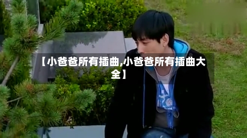 【小爸爸所有插曲,小爸爸所有插曲大全】-第3张图片