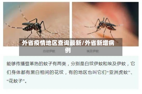 外省疫情地区查询最新/外省新增病例-第2张图片