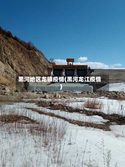 黑河地区龙镇疫情(黑河龙江疫情)-第2张图片