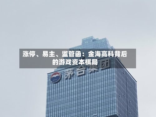 涨停、易主、监管函：金海高科背后的游戏资本棋局-第2张图片