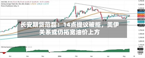 长安期货范磊：14点提议被拒	，美伊关系或仍拓宽油价上方-第2张图片