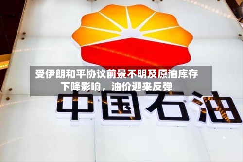 受伊朗和平协议前景不明及原油库存下降影响，油价迎来反弹-第3张图片