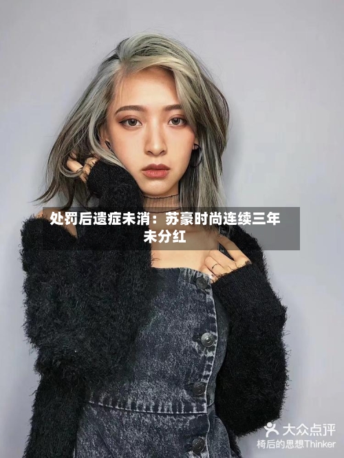 处罚后遗症未消：苏豪时尚连续三年未分红-第1张图片