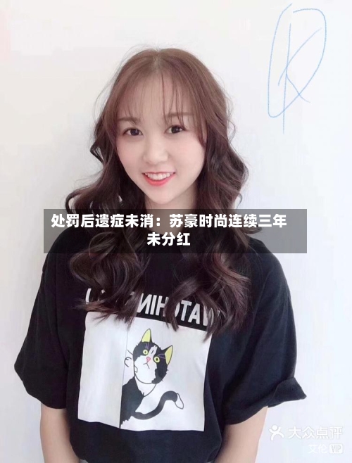 处罚后遗症未消：苏豪时尚连续三年未分红-第2张图片