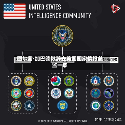 图尔茜·加巴德拟辞去美国国家情报总监一职-第1张图片