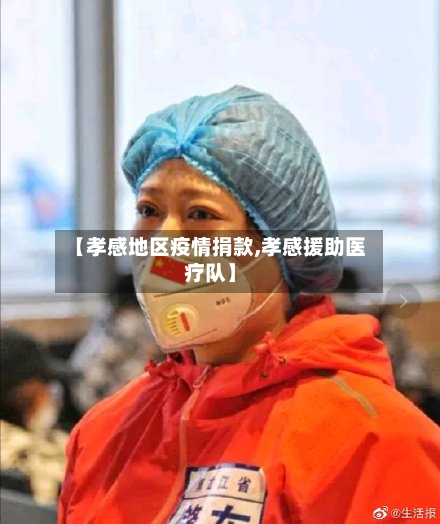 【孝感地区疫情捐款,孝感援助医疗队】-第3张图片