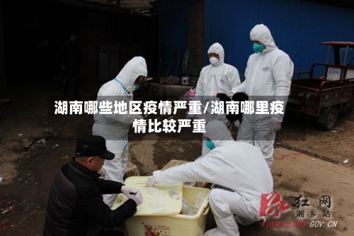 湖南哪些地区疫情严重/湖南哪里疫情比较严重-第1张图片