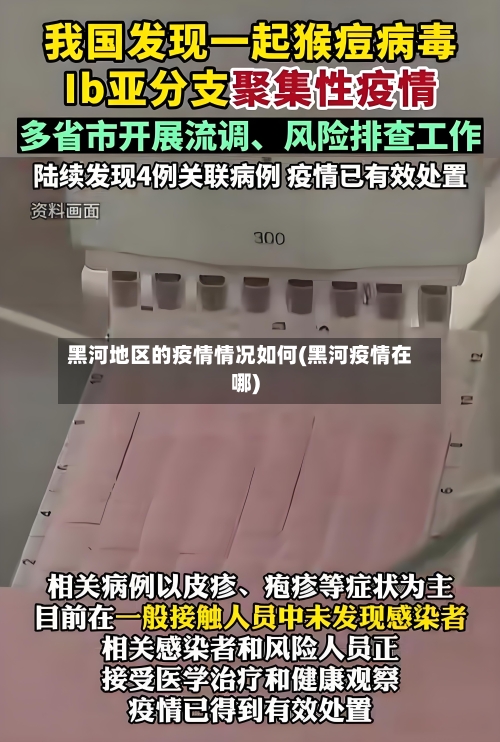 黑河地区的疫情情况如何(黑河疫情在哪)-第1张图片