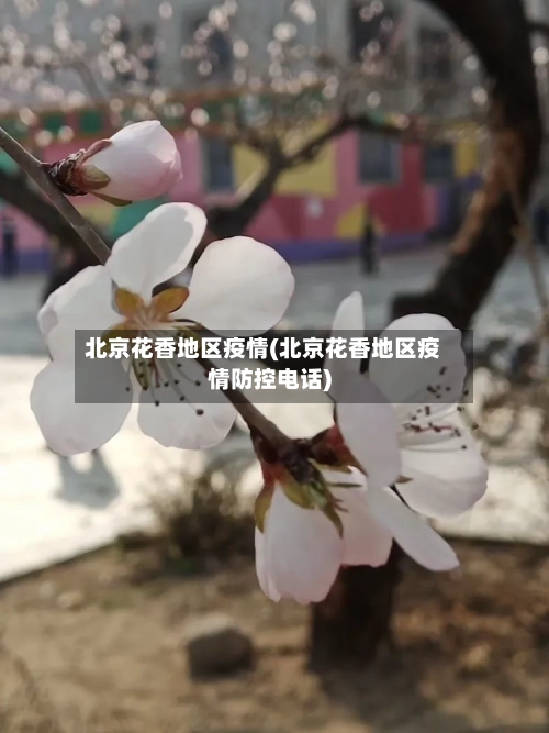 北京花香地区疫情(北京花香地区疫情防控电话)-第1张图片