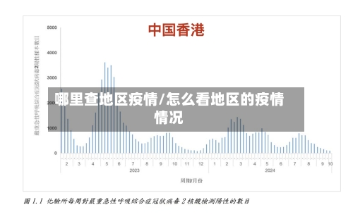 哪里查地区疫情/怎么看地区的疫情情况-第1张图片