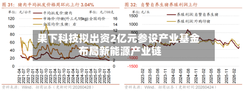 果下科技拟出资2亿元参设产业基金 布局新能源产业链-第2张图片