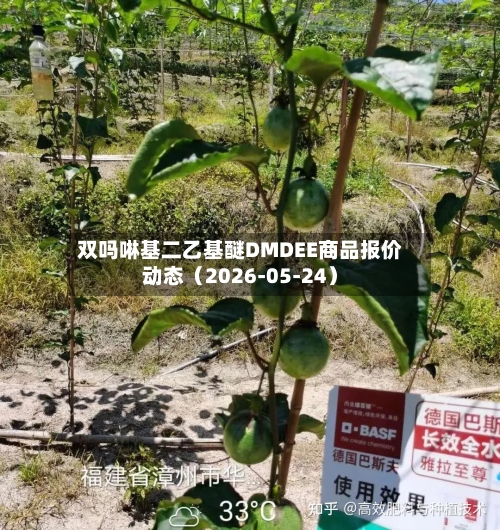 双吗啉基二乙基醚DMDEE商品报价动态（2026-05-24）-第2张图片