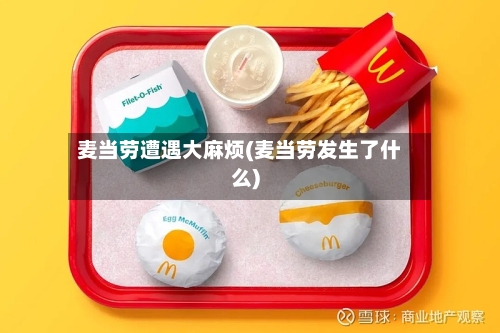 麦当劳遭遇大麻烦(麦当劳发生了什么)-第2张图片