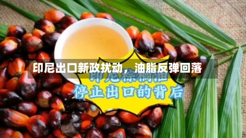 印尼出口新政扰动，油脂反弹回落-第1张图片