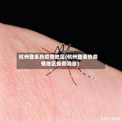 杭州登革热疫情地区(杭州登革热疫情地区最新消息)-第3张图片