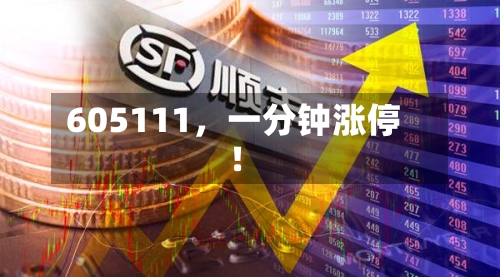605111，一分钟涨停！-第1张图片