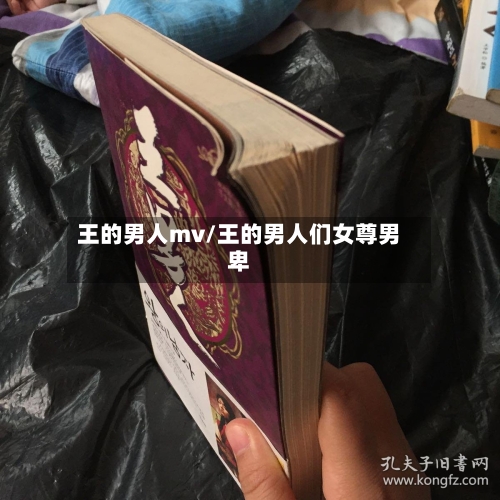 王的男人mv/王的男人们女尊男卑-第2张图片
