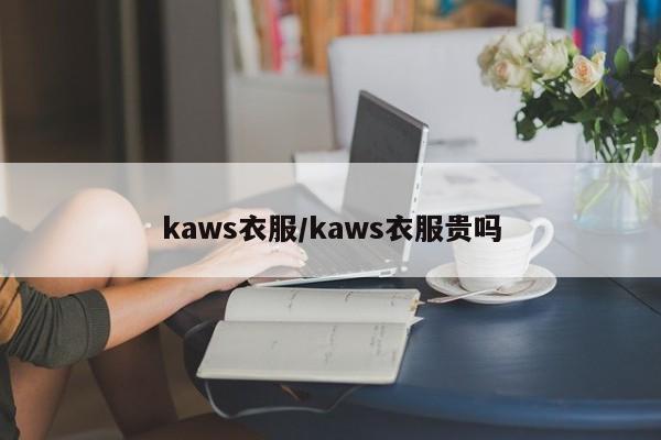 kaws衣服/kaws衣服贵吗