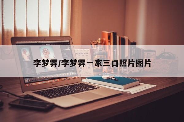 李梦霁/李梦霁一家三口照片图片