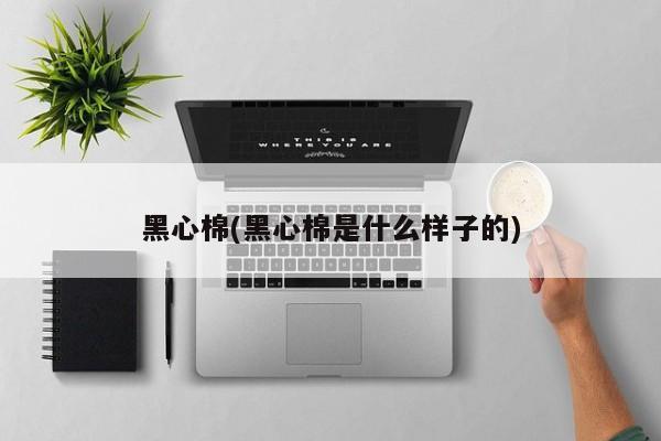 黑心棉(黑心棉是什么样子的)