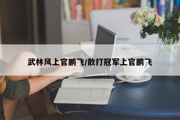 武林风上官鹏飞/散打冠军上官鹏飞