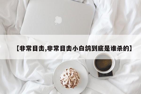 【非常目击,非常目击小白鸽到底是谁杀的】