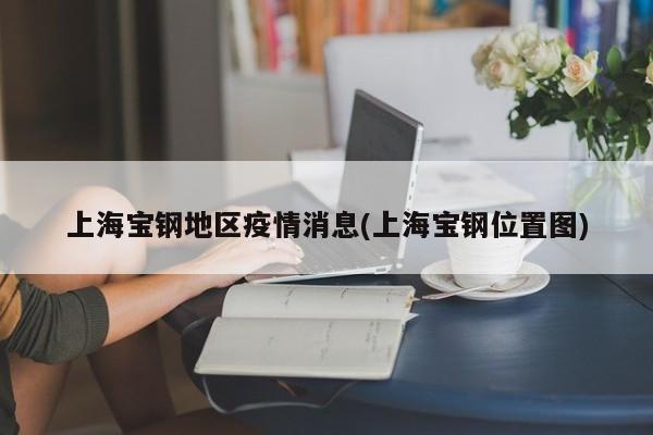 上海宝钢地区疫情消息(上海宝钢位置图)