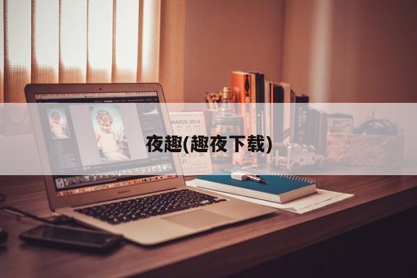 夜趣(趣夜下载)